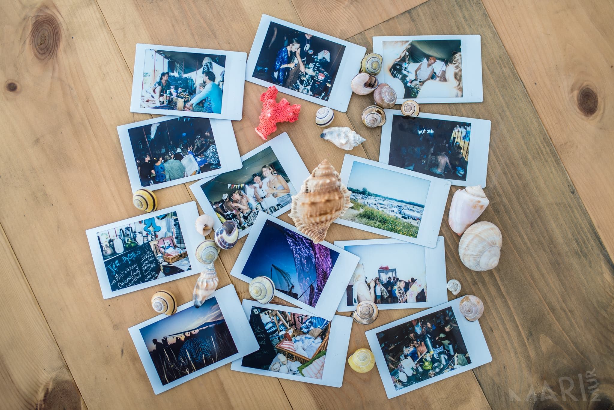 Tea by the Sea 2018 — photo 14