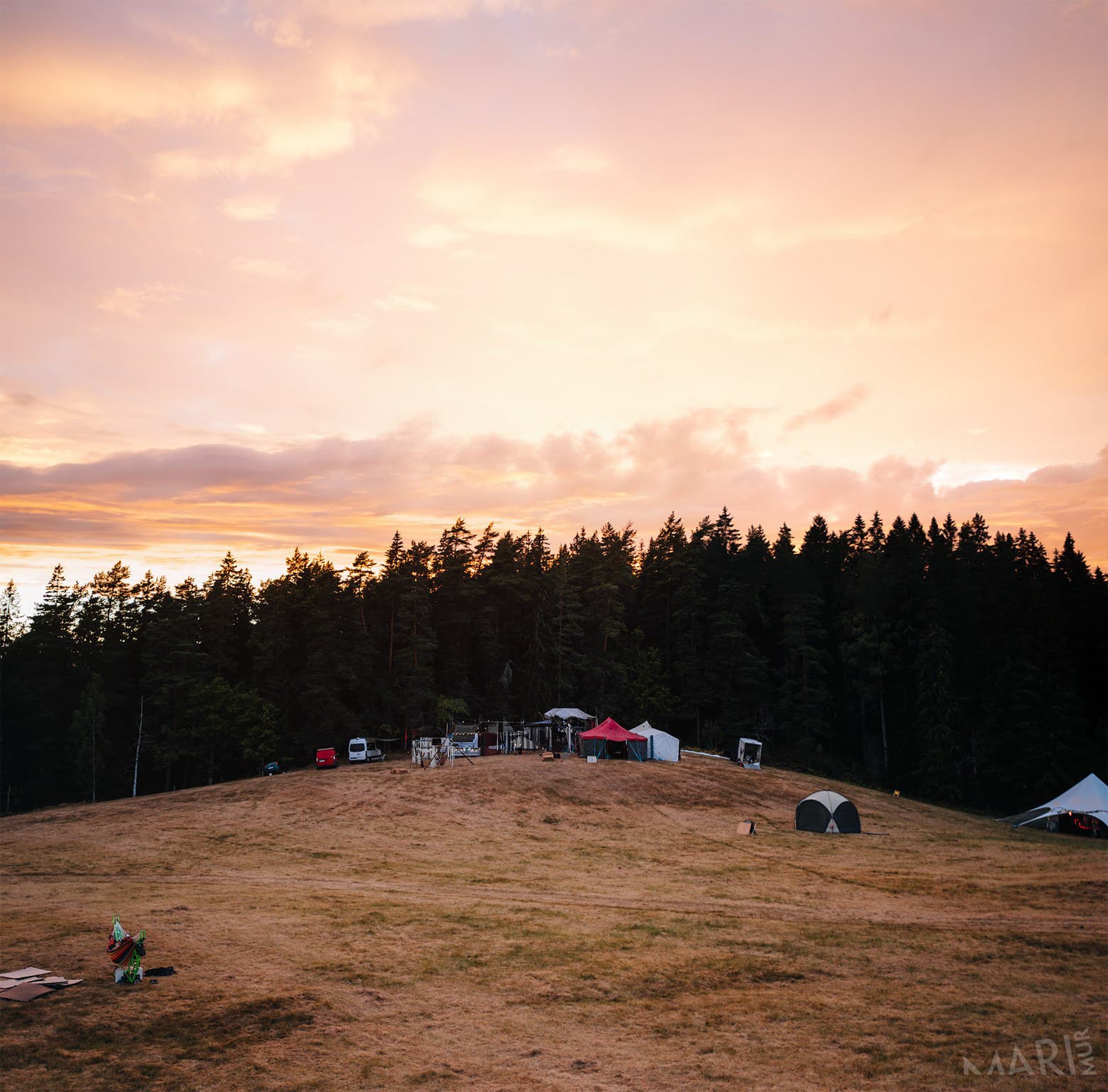 Tea by the Sea 2022 — photo 3