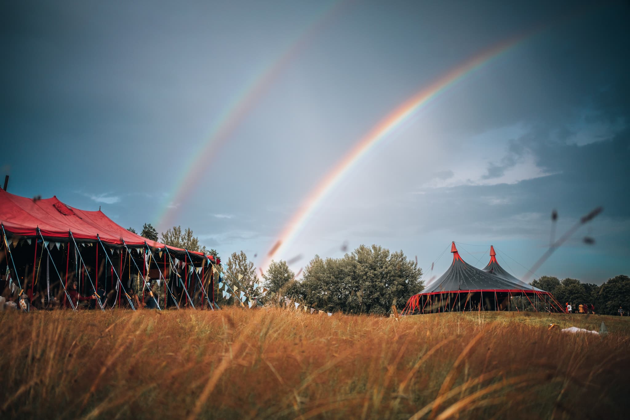 Tea by the Sea 2024 — the camp