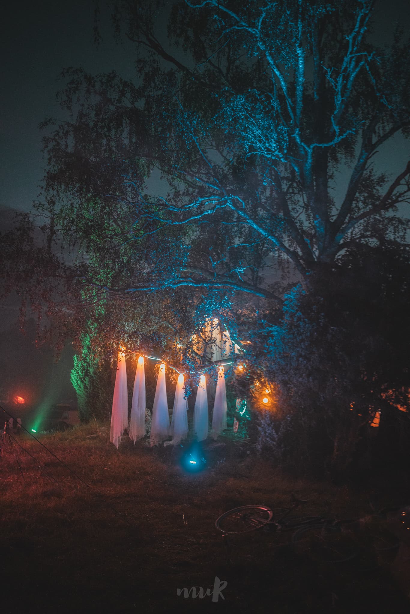 Tea by the Sea 2025 — photo 20